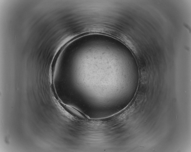 X0000098161036200804171554