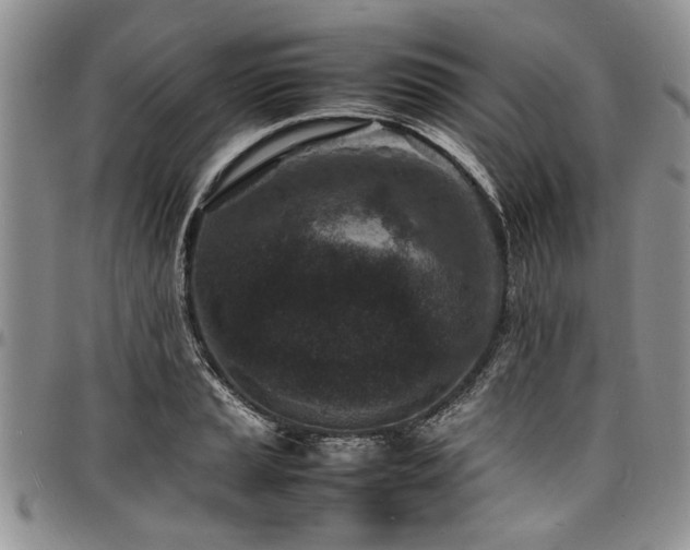 X0000098161037200804171554