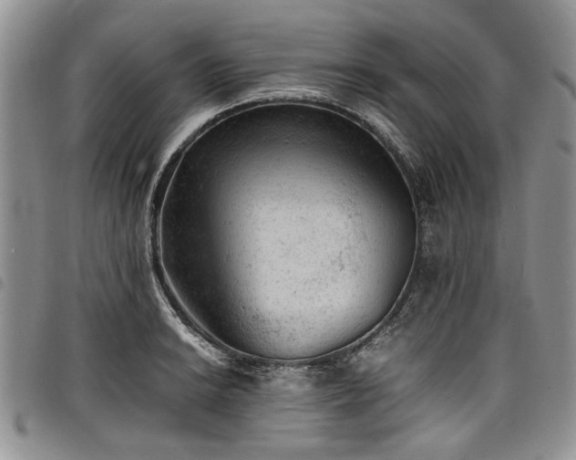 X0000098161038200804171554