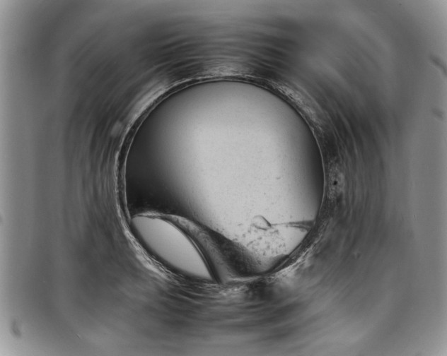 X0000098161039200804171554