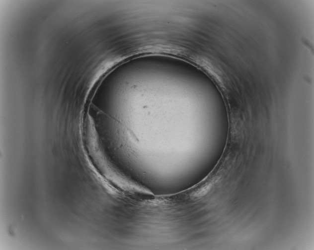 X0000098161040200804171554