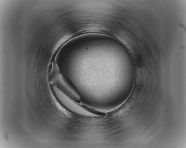 X0000098161042200804171554