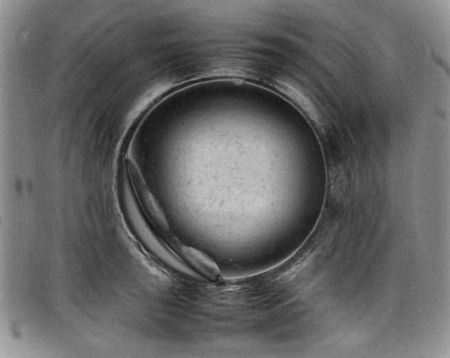 X0000098161043200804171554