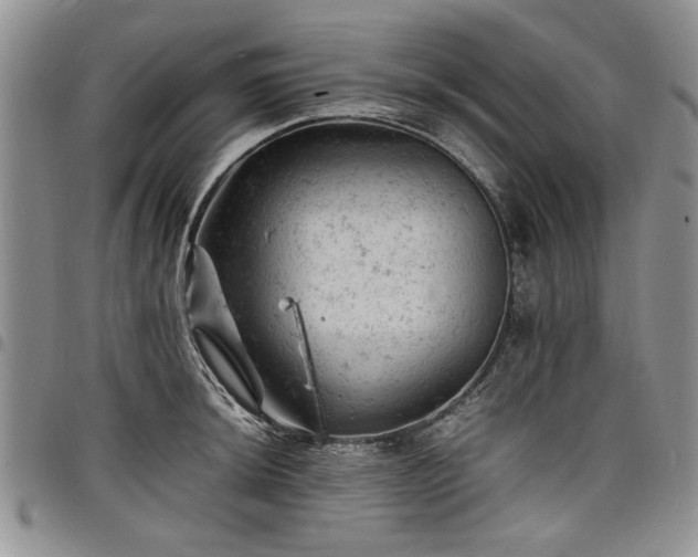 X0000098161044200804171554