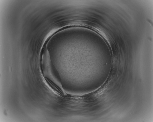 X0000098161045200804171554