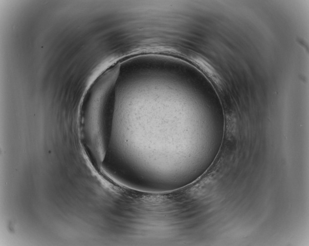 X0000098161046200804171554