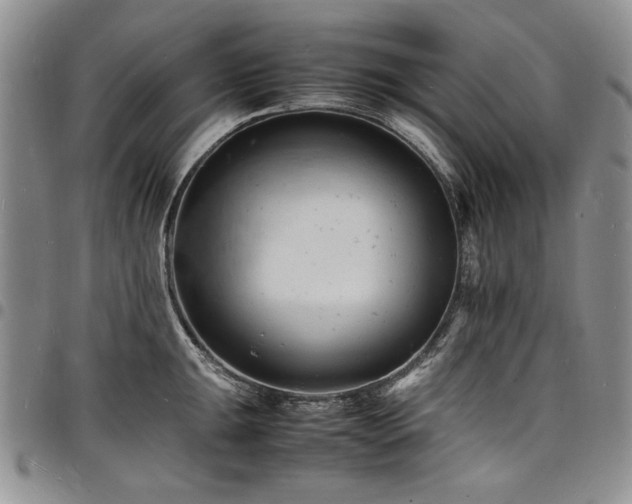 X0000098161047200804171554