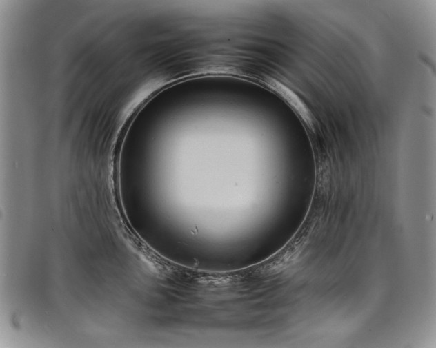 X0000098161051200804171554