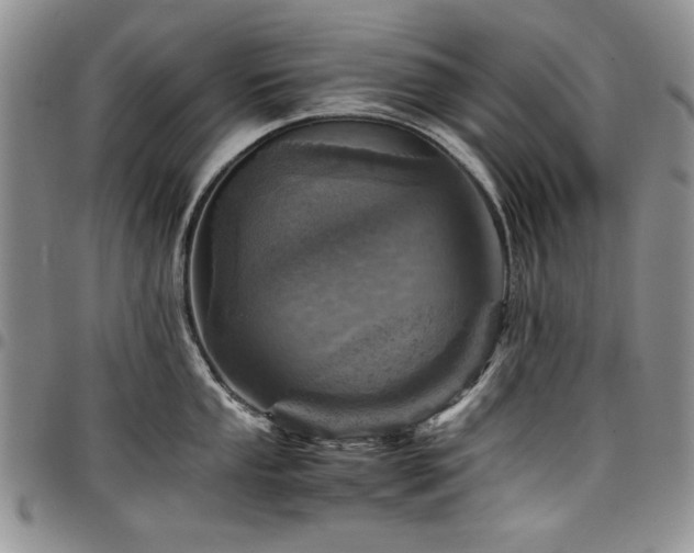 X0000098161053200804171554