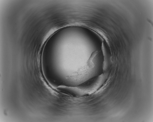 X0000098161054200804171554
