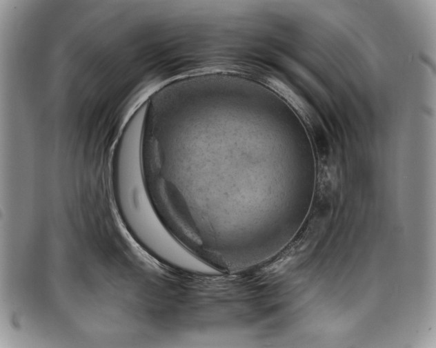 X0000098161055200804171554
