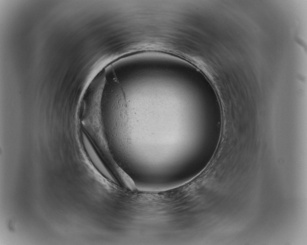 X0000098161056200804171554