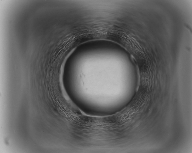 X0000098161057200804171553