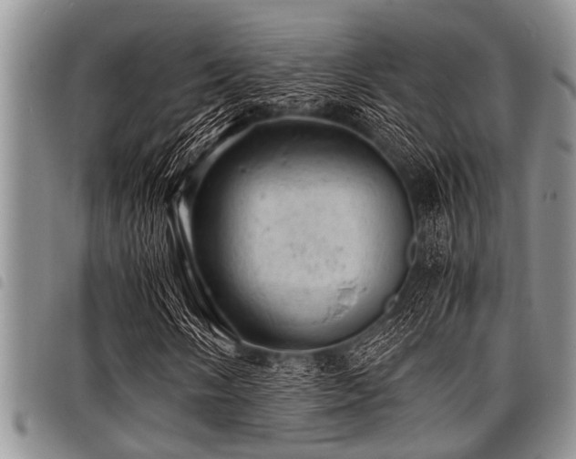 X0000098161058200804171553