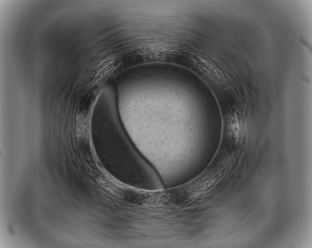 X0000098161060200804171553
