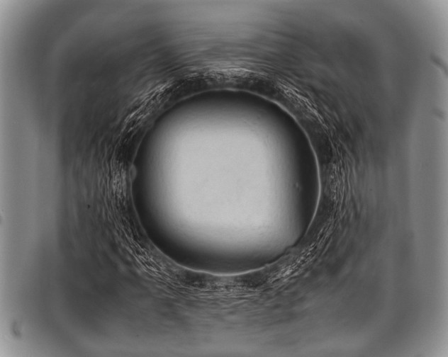 X0000098161061200804171553