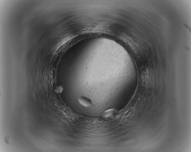 X0000098161064200804171553