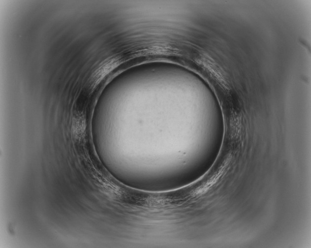 X0000098161065200804171553