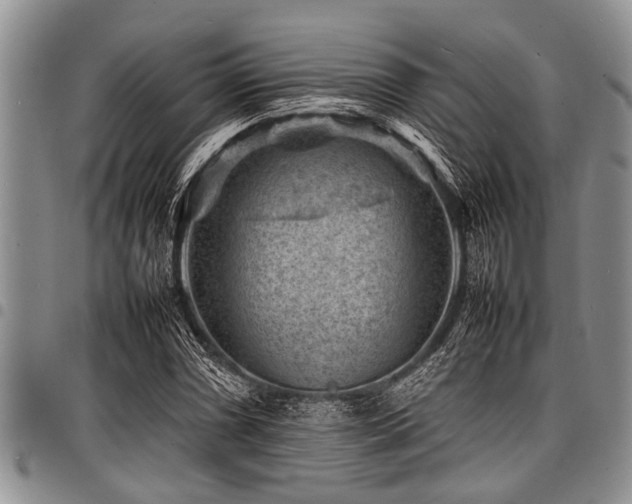 X0000098161066200804171553