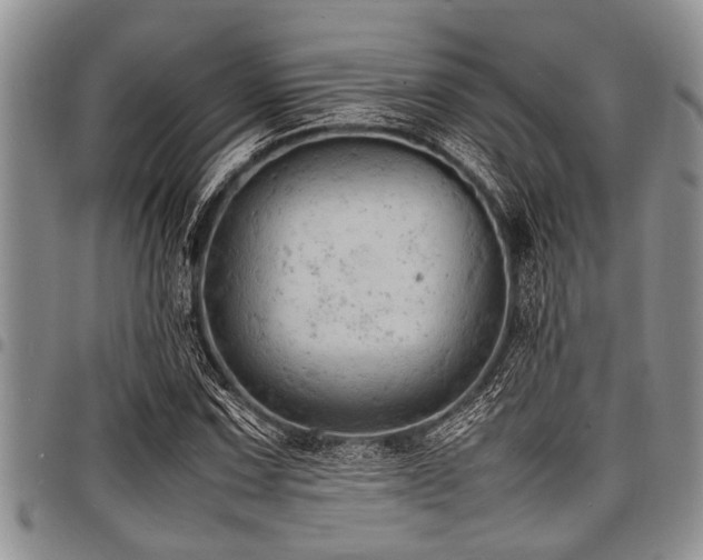 X0000098161067200804171553