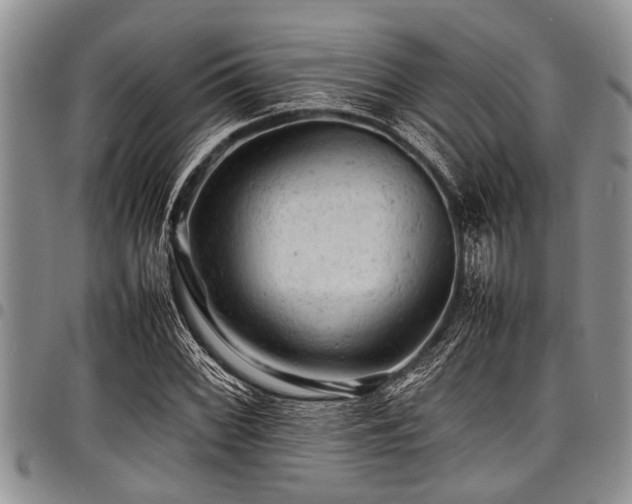 X0000098161068200804171553