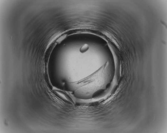 X0000098161069200804171553
