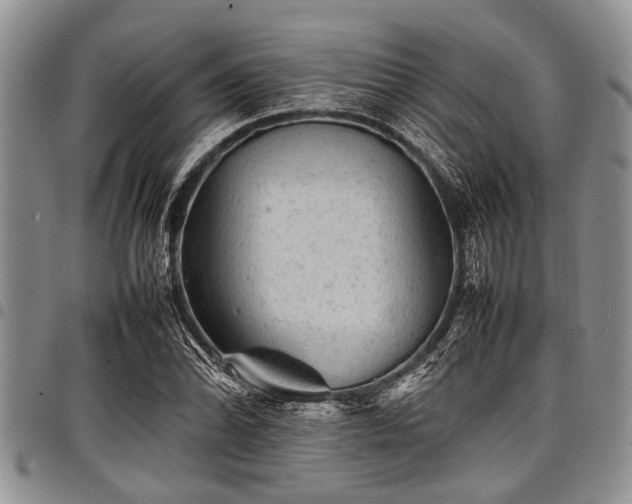 X0000098161070200804171553