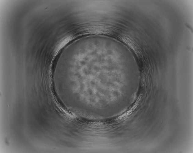 X0000098161071200804171553