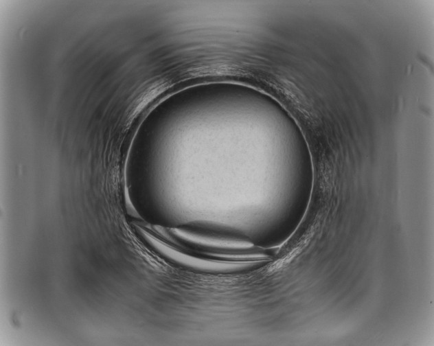 X0000098161073200804171553