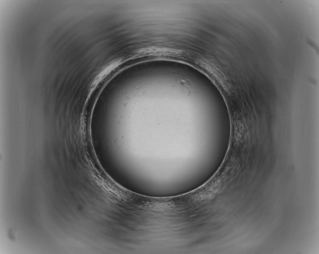 X0000098161074200804171553