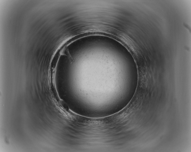 X0000098161076200804171553