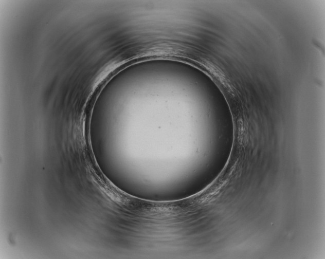 X0000098161078200804171553
