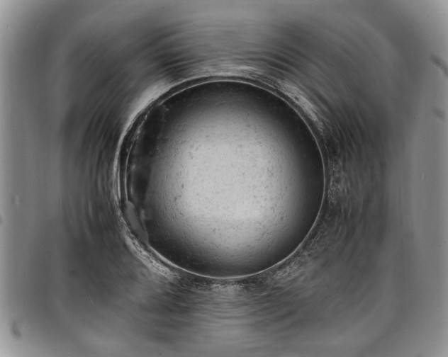 X0000098161080200804171553