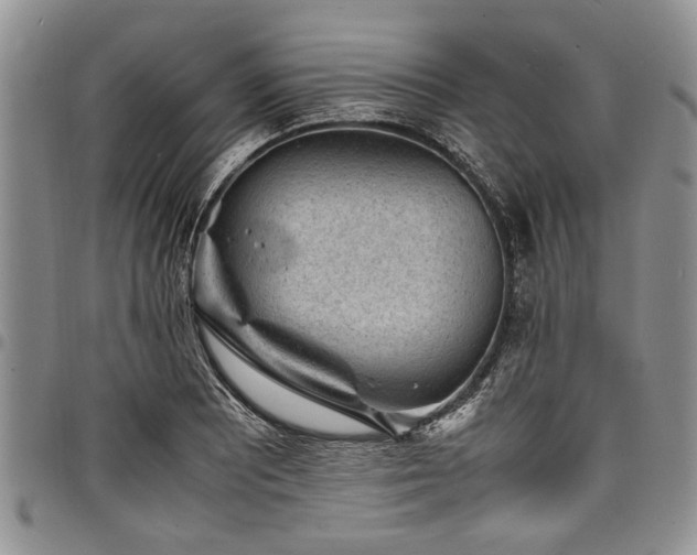 X0000098161081200804171553