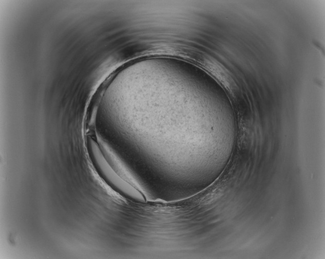 X0000098161084200804171553