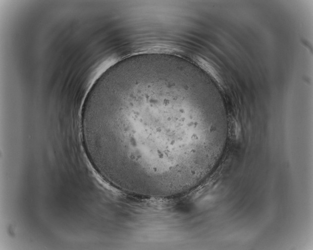 X0000098161087200804171553