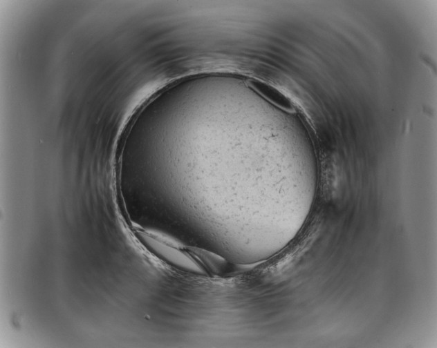 X0000098161088200804171553