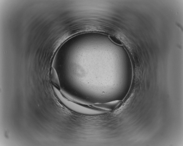 X0000098161089200804171553