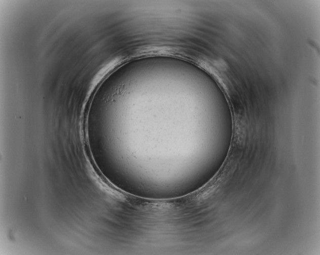 X0000098161090200804171553
