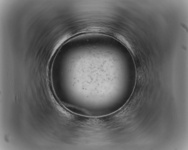 X0000098161091200804171553