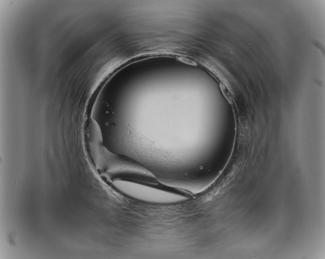 X0000098161093200804171553