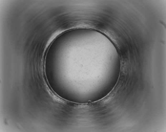 X0000098161094200804171553