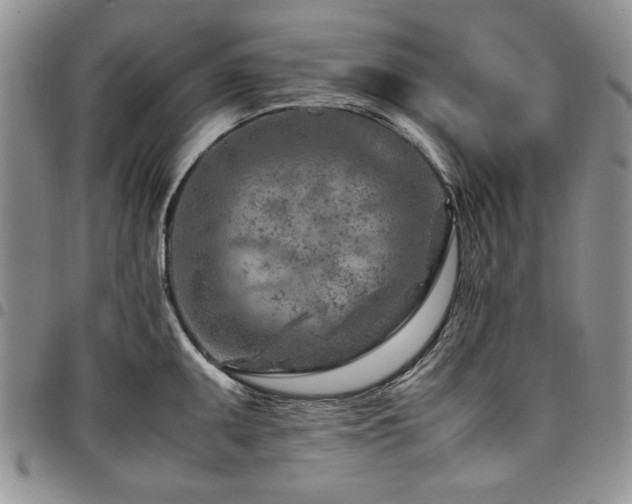 X0000098161095200804171553