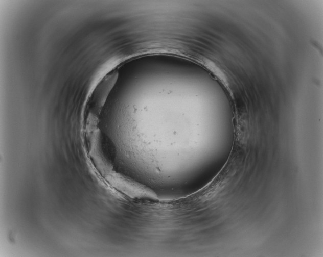 X0000098161096200804171553