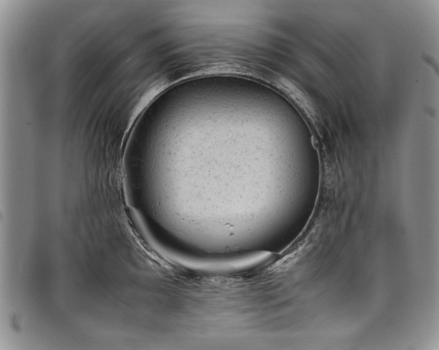 X0000098161097200804171553