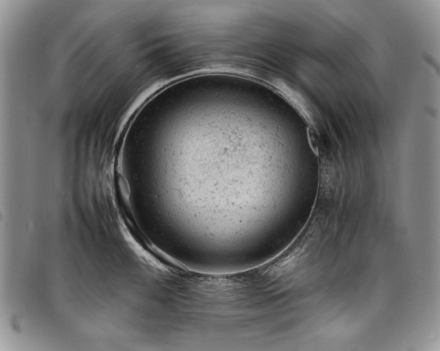 X0000098161100200804171553