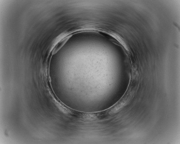 X0000098161101200804171552