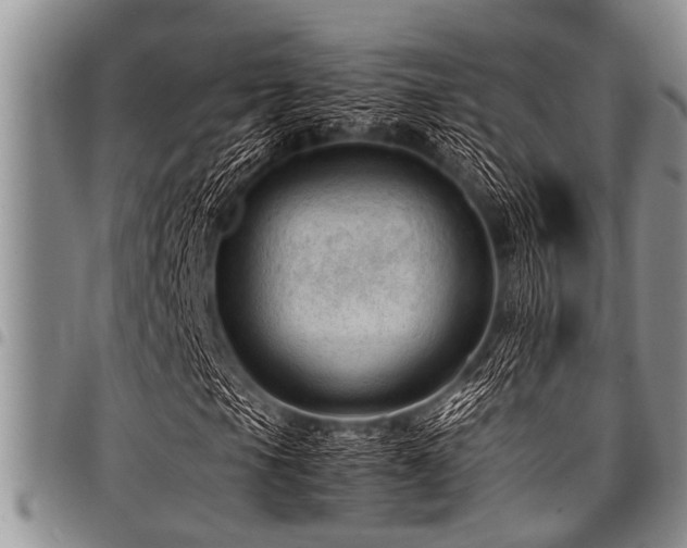 X0000098161105200804171552
