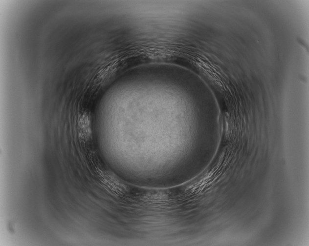 X0000098161106200804171552