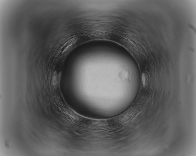 X0000098161107200804171552